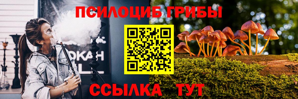 Галлюциногенные грибы Psilocybe  Вход с VPN  Дятьково 